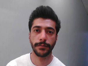 Face Image